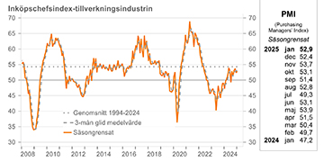 PMI graf januari 2025