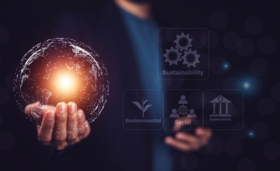 Procurement Leadership Program